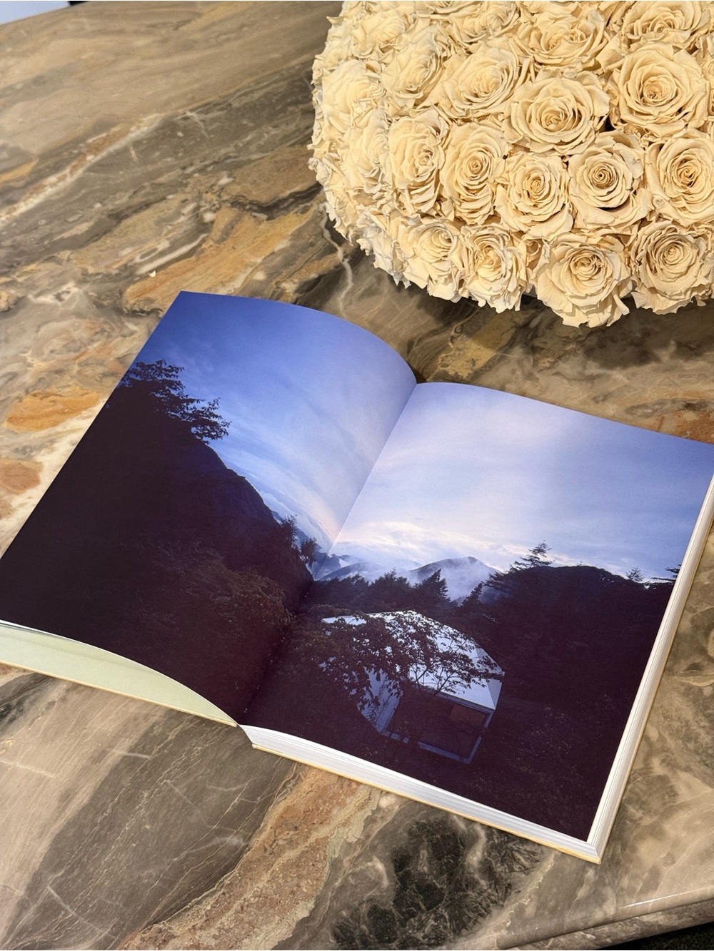 Phaidon Japanese Interiors Mihoko Iida Hardcover Coffee Table Design Book - Picture 8 of 9